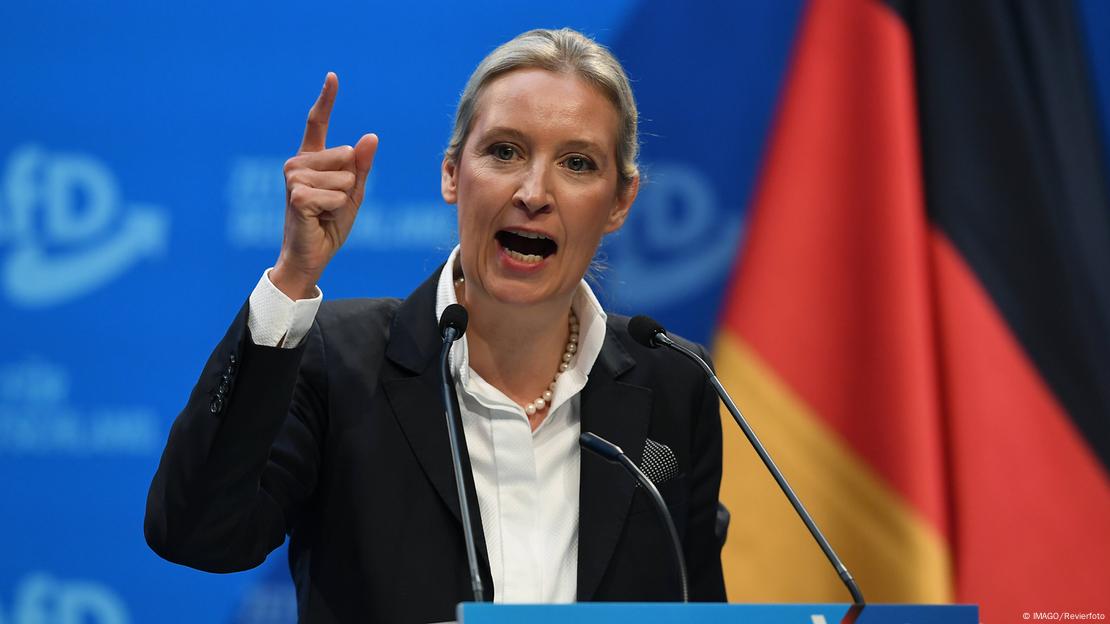 Aşırı Sağcı AfD'nin Başbakan Adayı Alice Weidel