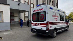 yolun karsisina gecerken can verdi VeKleb87.jpg